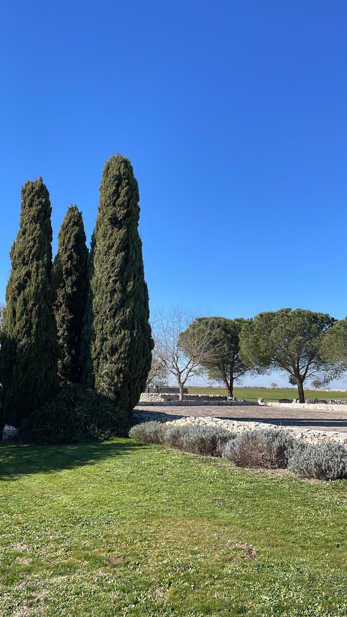 Masseria La Mandra Noci Eksteriør bilde